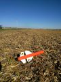 A photo of the orange rocket landed in a cornfield, separated in two segments with the shock cord and parachute stretched between them.